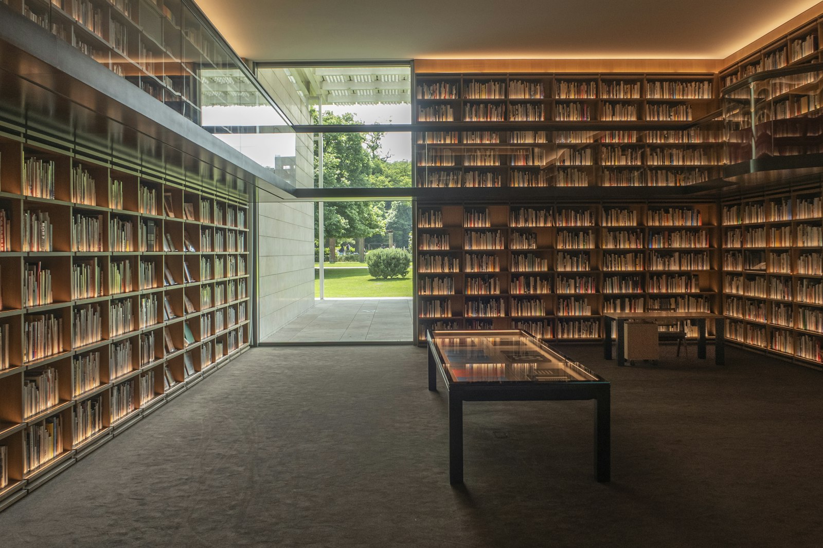 Civic library reading room with wooden bookshelves and warm daylight from a garden window.