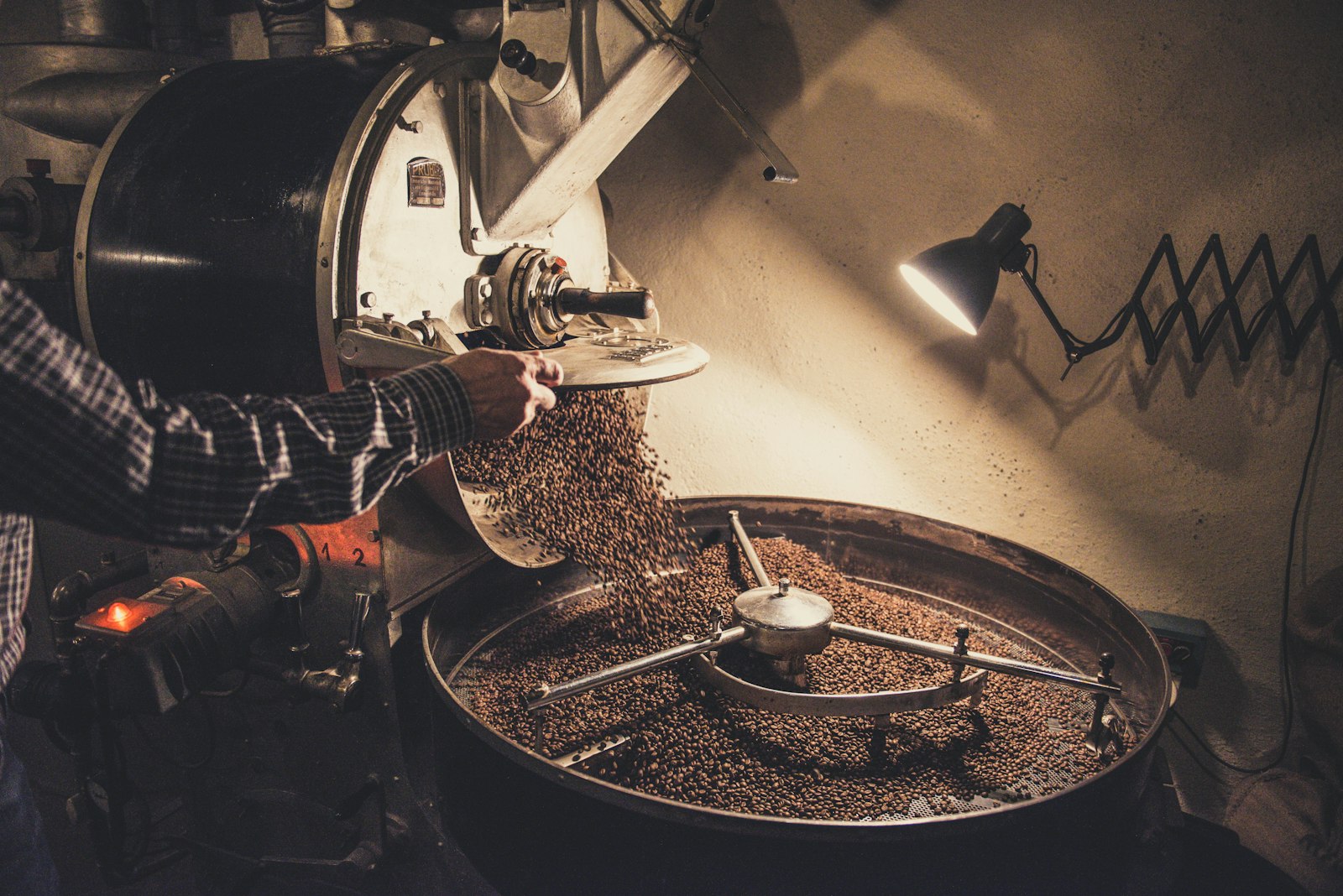 Hands pouring green coffee beans into the hopper of a roasting machine