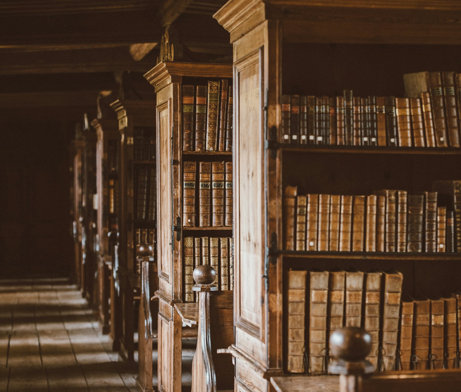 Wooden library shelves filled with bound books in warm daylight.