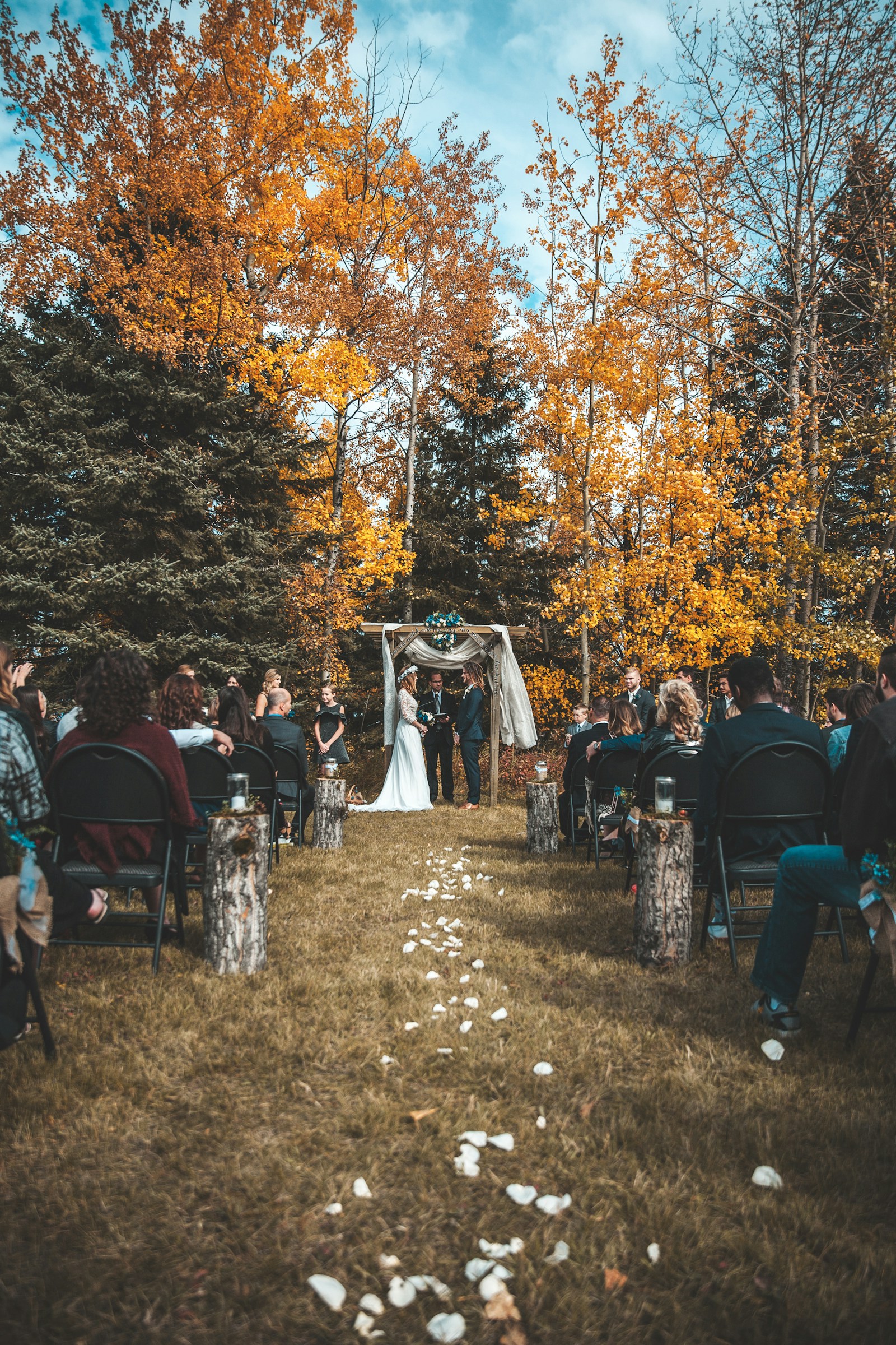 Outdoor ceremony beside fall trees. The light does most of the work.