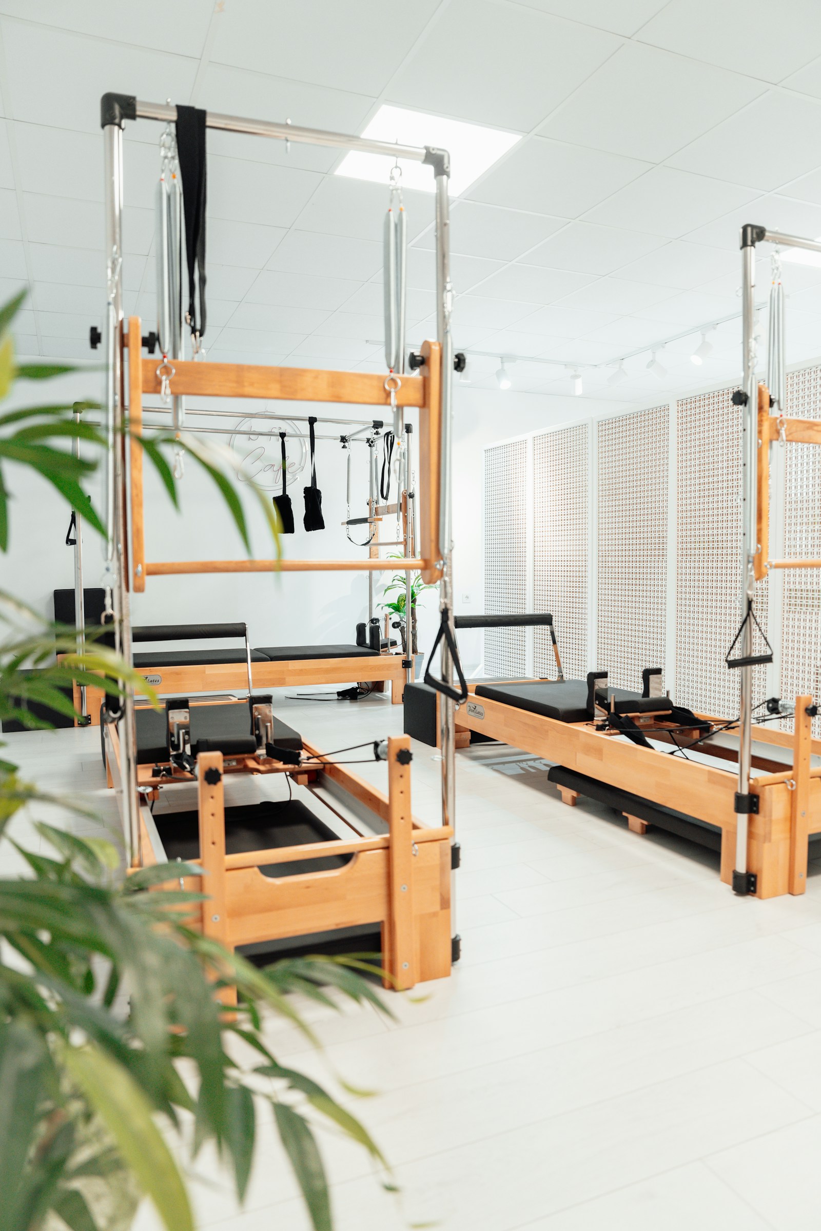 Row of pilates reformer machines in a calm studio with a single potted plant