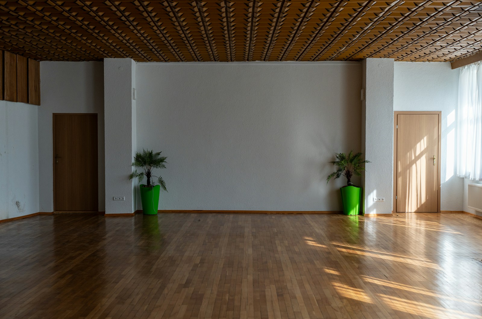 Empty wood-floored room with two tall potted plants and soft daylight