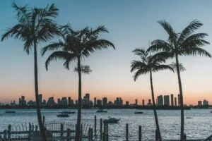 Silhouette of palm trees near body of water, with a city skyline in the horizon.